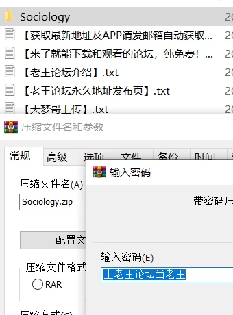 【PC/动态/无码】猫与地下城 [1+911M][百度盘]