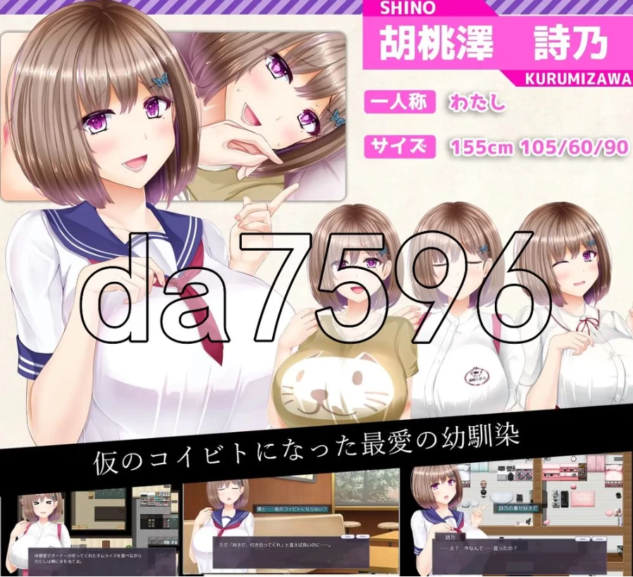 pc/NTR恋人 〜告诉我你属于我一人的理由〜 V1.05 内嵌AI汉化版 [1+2.44g][百度盘]