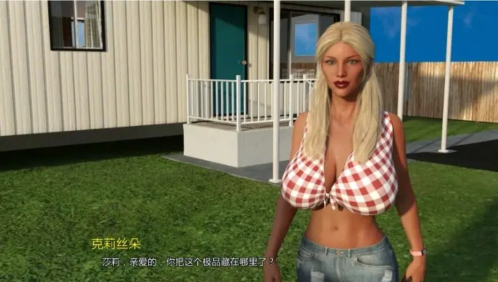 【PC+安卓/AI汉化/欧美/3DSLG游戏/6.05G】一分钱一分货 (In for a Penny) Ver0.75 AI汉化版 PC+安卓+欧美3DSLG游戏+6.05G