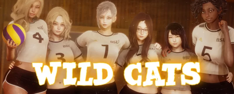 野猫 Wild Cats v0.3 Public 官方中文版 双端 [5+7g][百度盘]