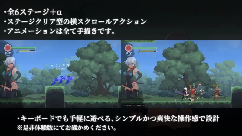[PC/2D/ACT/神作/存档/动态/中文]复仇的夜雾 復讐の夜霧 v1.0.2 [2+446M][百度盘]