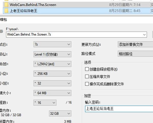 网络摄像头：屏幕背后/WebCam: Behind The Screen 官中步兵版 [1+3.33G][百度盘]