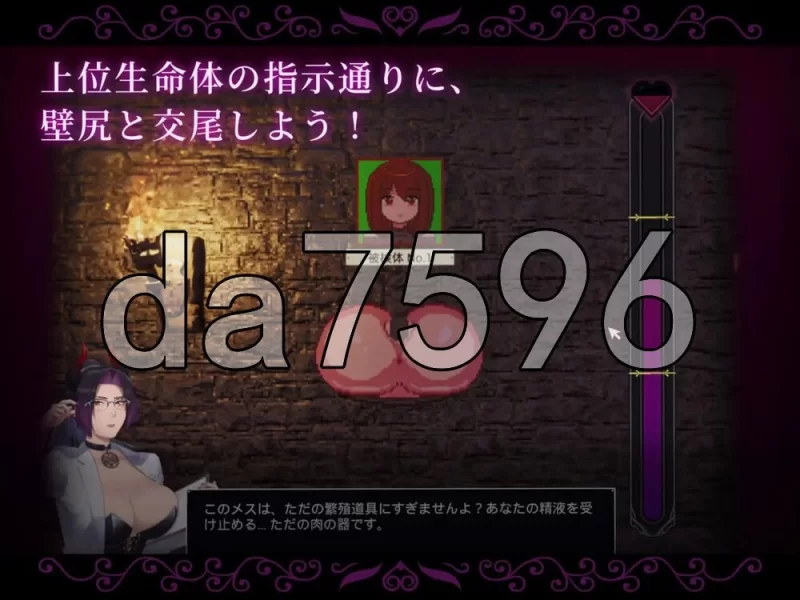 [日式SLG/新作] 附带自定义功能！ 强○交尾 壁尻实验 生肉版 [1+700M][百度盘]