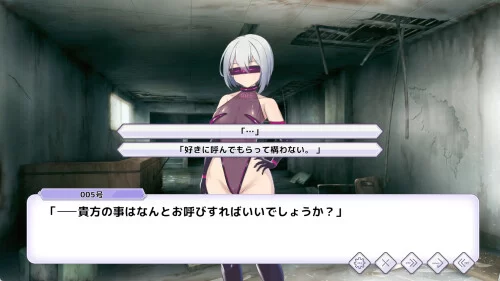 PC–圣核战姫 DX Operation Darkside DX v2.6 [1+2.43G][百度盘]