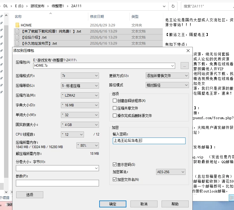 [SLG/AI汉化/PC]家 HOME [2+8.16G][多种下载方式]