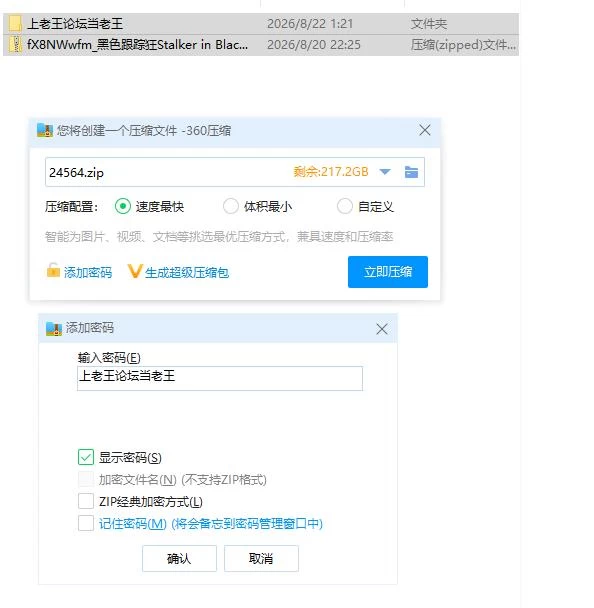 黑色跟踪狂 v1.0 官中版【PC [1+1.45g][百度盘]