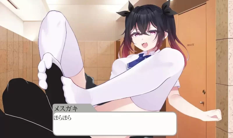 [新作PCSLG官中] 催堕的雌性们 催堕のメスたち v1.0 [400m] [1+400M][百度盘]