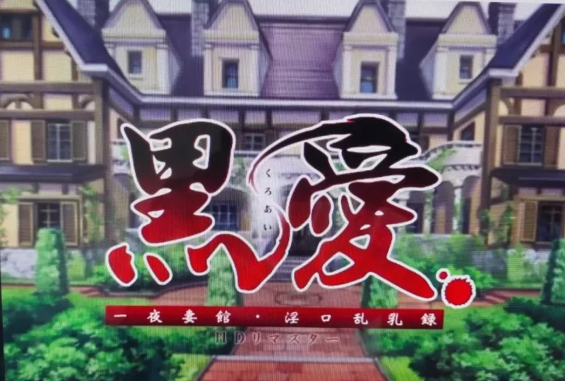 [PC]黑爱~一夜妻馆·银口乱乳录~HD重制版 [1+2.3G][百度盘]