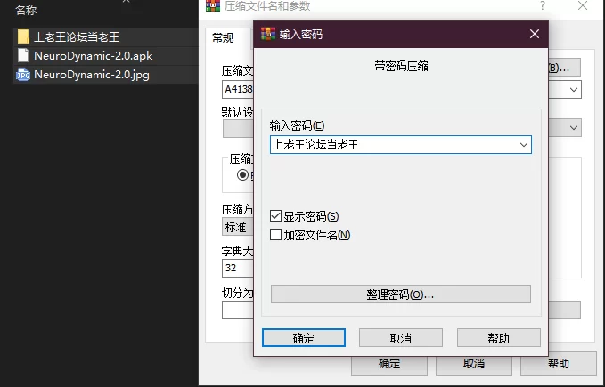 PC+安卓–神经动力学 NeuroDynamics V2 [1+1.71G][百度盘]