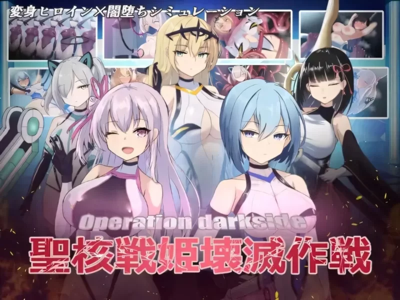 【pc】圣核战姫 DX v2.8 官方中文步兵 [1+1g][百度盘]