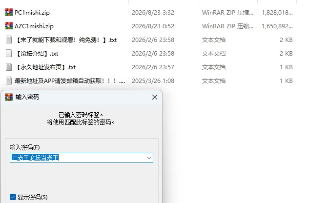 PC＋安卓[日式RPG/NTR] 密室游戏决斗～今天谁会买走我的女友 Steam官中步兵版+存档 [1+3.4G][百度盘]