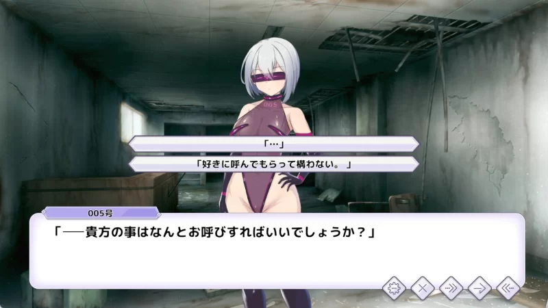 【pc】圣核战姫 DX v2.8 官方中文步兵 [1+1g][百度盘]