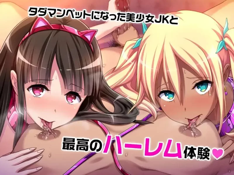 PC[ADV/JK]援交JK阿嘿颜补剂v(゜ロ゜)v☆阿嘿 精翻汉化 [1+800m][百度盘]