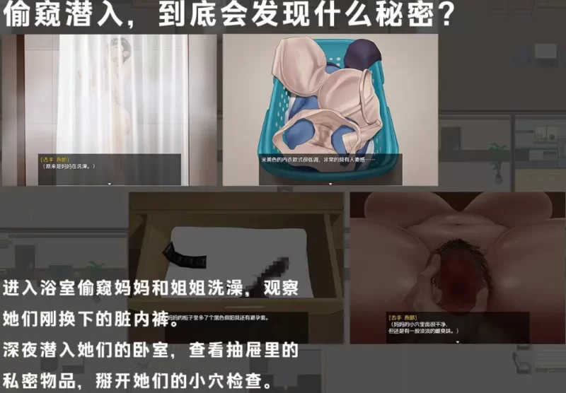 [PC/全CG/NTR/绿母/官中无修/动态]被黑手浸染的玫瑰与百合 [1+1.96G][百度盘]