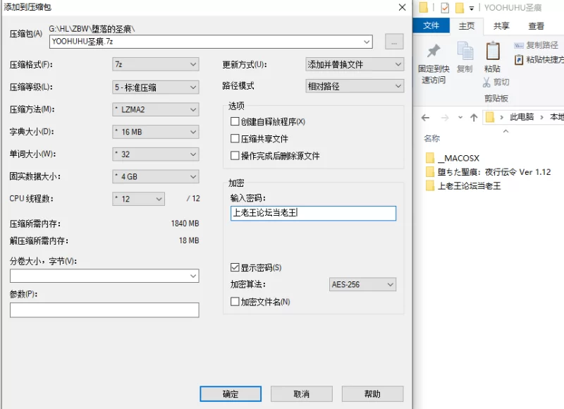 PC/堕落的圣痕/正式版/官中/步兵/堕ちた聖痕：夜行伝令1.12 [1+2.48G][百度盘]
