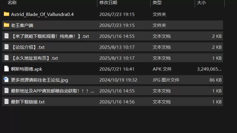 [双端/日式RPG/新汉化] 阿斯特丽德 Astrid: Blade of Vallundra 内… [1+6.5G][百度盘]