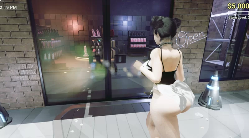 PC【3D经营沙盒ACT透视】性用品商店模拟器：X射线欲望26.06.15 [1+3.3G][百度盘]