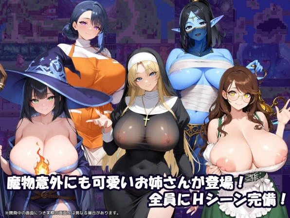 [RPG/2D/日式]御姐正太任务正太冒险者与黑辣妹盗贼作弊码 [1+1.01G][百度盘]