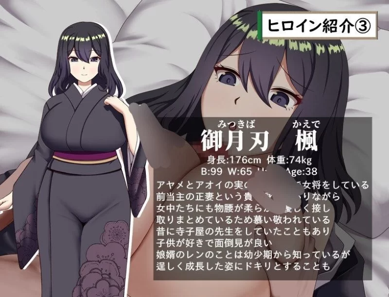 【RPG/安卓】武家女当主阿叶的苦难 ～与刀、爱、无法离开… [1+1116.6M][百度盘]