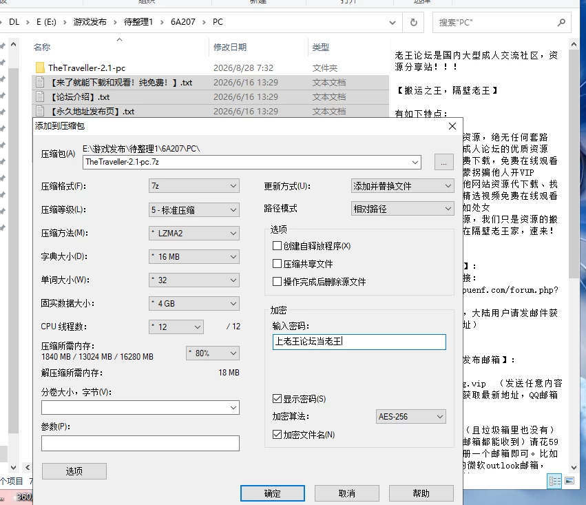 [汉化/PC+安卓] 旅行者-完结 The Traveller [v2.1 Final] [2+1.73G][多种下载方式]