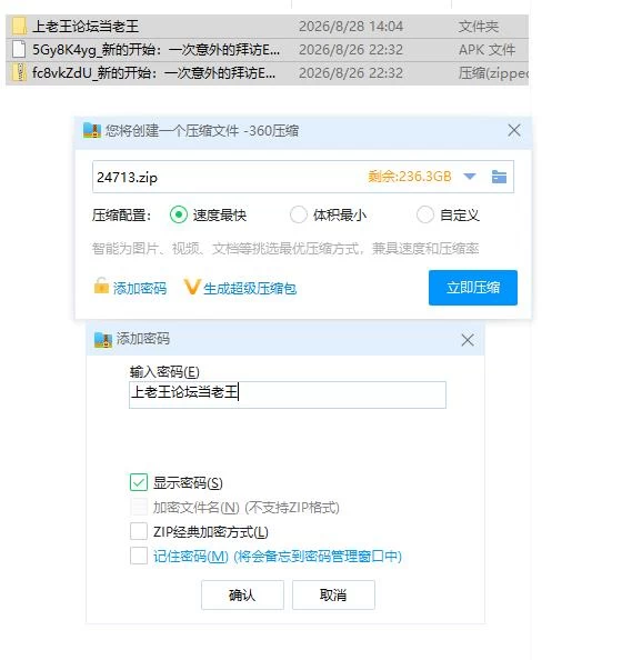 新的开始：一次意外的拜访Ep.1 AI版【PC+安卓 [1+1.76g][百度盘]