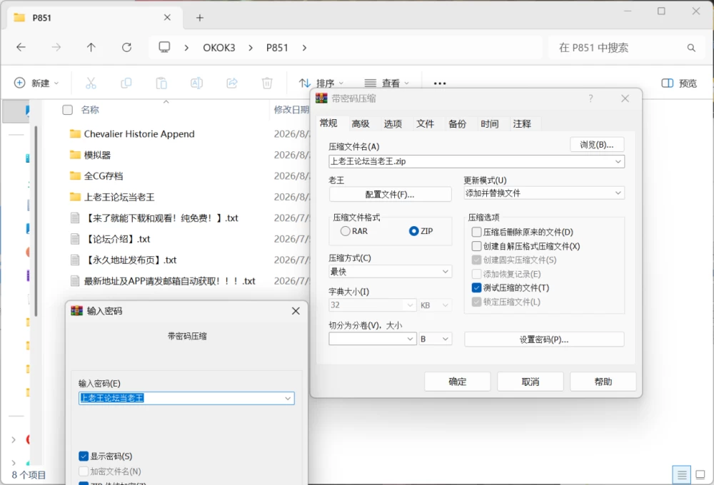 [PC/安卓模拟器/2D/RPG/全CG/存档/全DLC]少女骑士救主记 V2.02 [4+5.89G][百度盘]