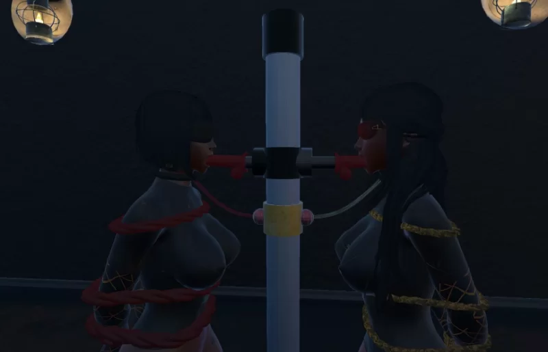 【PC/官中/动态/FPS】束缚竞技场 Bondage Arena V22.0 官方中文版 [1+43G][百度盘]