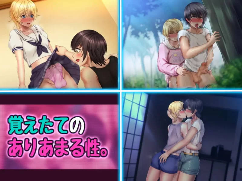 [ADV汉化PC ]两个男娘的暑假青春日记  男の娘2人夏休みアオ… [1+1G][百度盘]