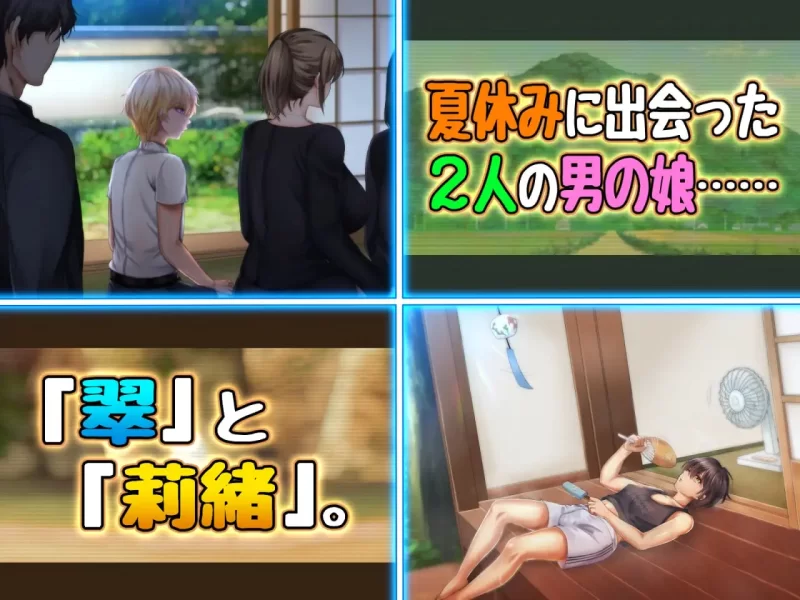 [ADV汉化PC ]两个男娘的暑假青春日记  男の娘2人夏休みアオ… [1+1G][百度盘]