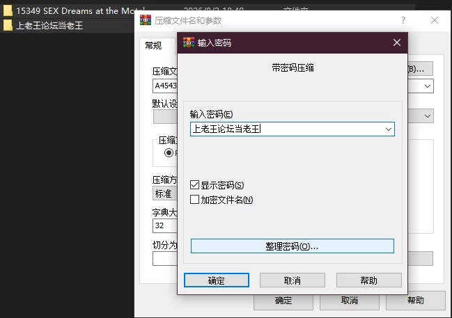 PC–在汽车旅馆的性梦 SEX Dreams at the Motel v1.1 官中步兵版 [1+2.38G][百度盘]