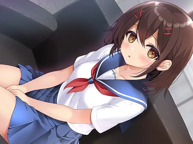 [ADV汉化PC存档CV]放学后咨询室 放課後カウンセリングルーム [1+1G][百度盘]