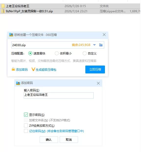 女装灵探梨一依0.51 官中步兵版【PC [1+1.46g][百度盘]
