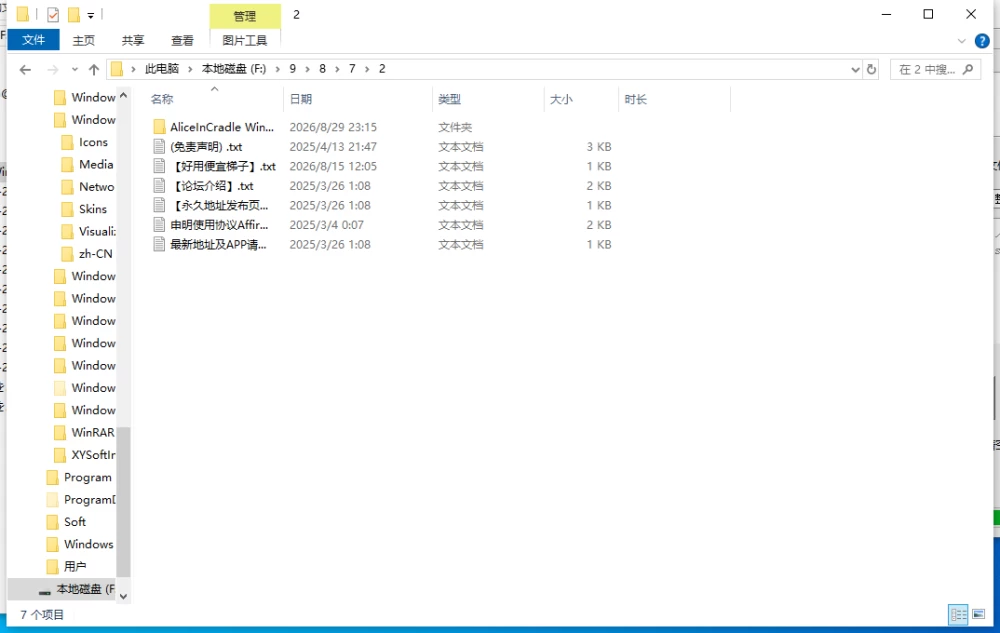 【更新/PC/ACT/官中/动态】爱丽丝的摇篮V0.3B [1+1G][百度盘]