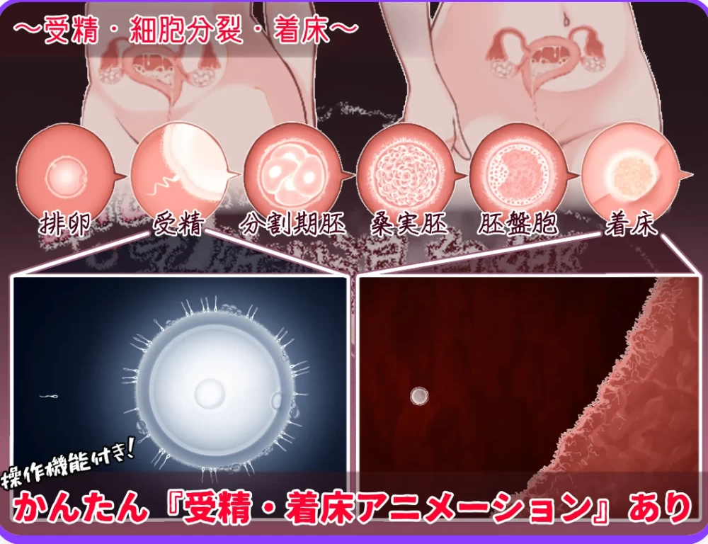 [安卓+PC/日式RPG/西瓜肚/动态] 欢迎来到！孕育温泉乡 V1.10AI汉化版+作弊码 [2+970M][百度盘]