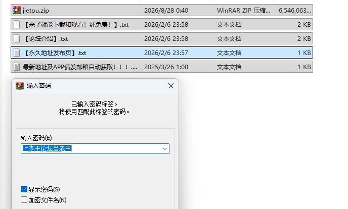 PC更新[日式SLG/真人/动态] 街头对决 Street Versus v2.4 [1+6.3G][百度盘]