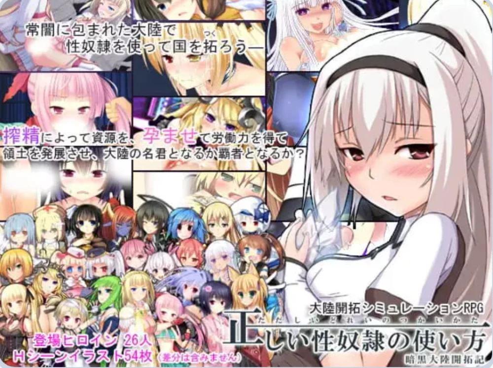 [PC/NTR/援交] 性奴隶的正确使用方法-暗黑大陆开拓记v2.2.0 汉化版+存档 [1+1.4G][百度盘]