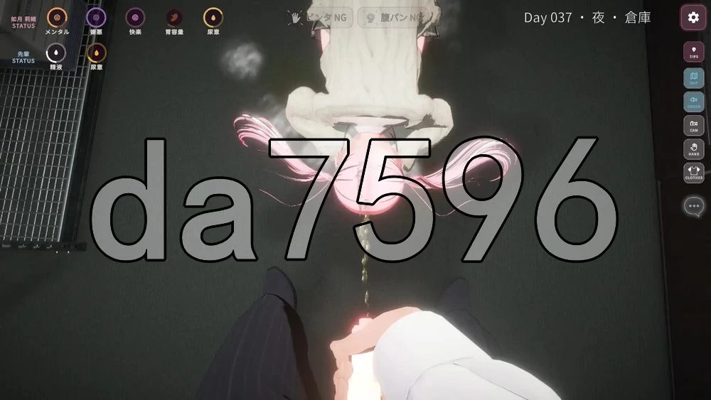 [日式3D/新作] 惩罚课程 お仕置きLesson 官中版 去码版 [1+2.50G][百度盘]