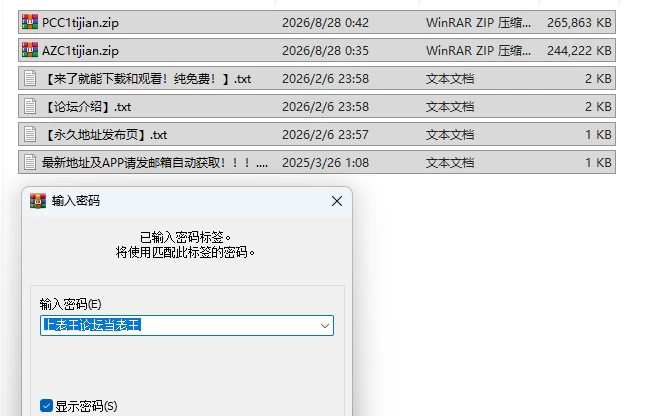 PC＋安卓[日式SLG/NTR/像素动态] 体匠传说：隐藏的传承 v0.2.3.0 官中版 [1+500M][百度盘]