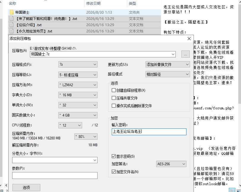 【RPG/官中步兵/PC】帝国骑士 Imperial knights v1.0.2 存档 [2+5.8G][多种下载方式]