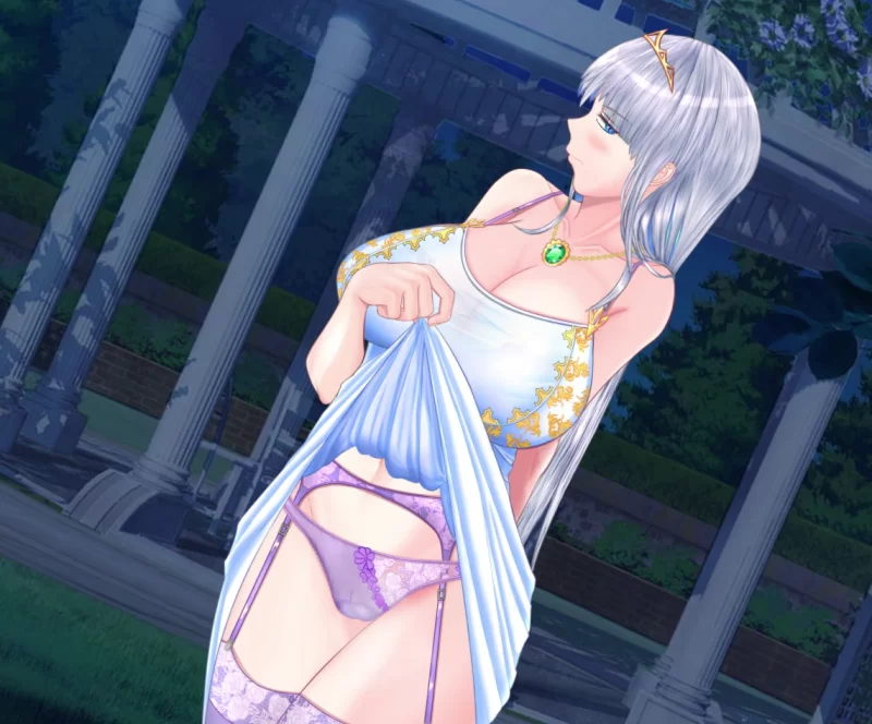 PC【催眠NTR影奸RPG】连公主大人也能做到的NTR计划 AI汉化+全CG [1+3.5G][百度盘]