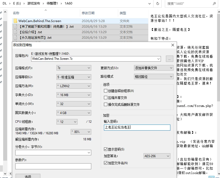 [3D/官中/PC]网络摄像头：屏幕背后 WebCam: Behind The Screen [2+3.0G][多种下载方式]