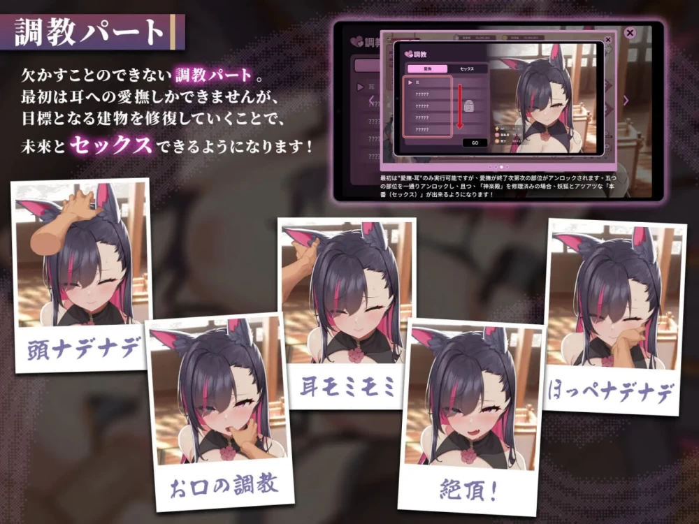 [精品SLG/互动/PC] 妖狐的深夜直播V26.08.22 官中步兵版+存档 [1+9G][百度盘]
