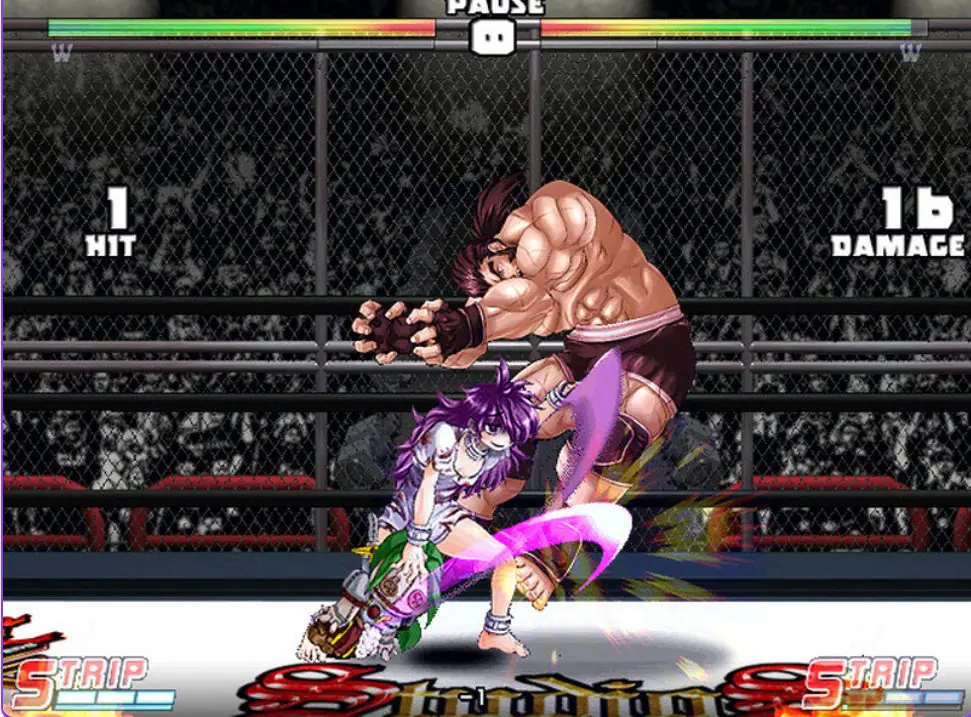 【PC/官中/日式/FTG游戏/900M】爆衣战士5:黑暗武斗会 （Strip Fighter 5 CE V1.2hotfix） 官中版 豪华完整版+DLC+日式FTG游戏+900M