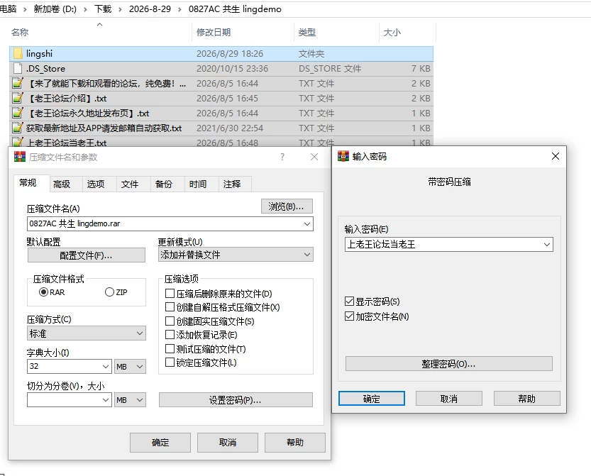 PC/官中/ACT推荐【战败H】共生体・零式 Demo Ver0.2 [1+解压前550MB][百度盘]