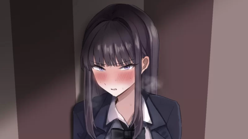 [更新PC官中+动态+NTR+BSS+纯爱+后宫]硝子の庭 Ver 0.96体验版 [1+2.05G][百度盘]