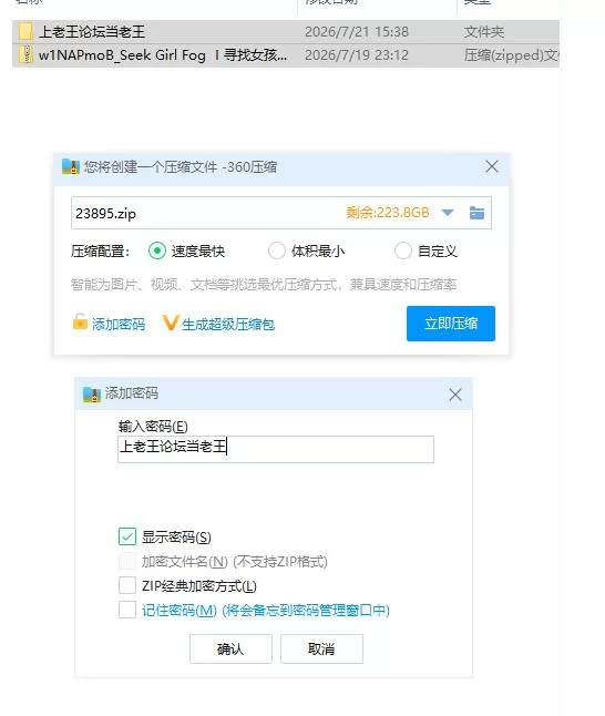 寻找女孩：迷雾之森1.0 官中步兵版【PC [1+1.4g][百度盘]