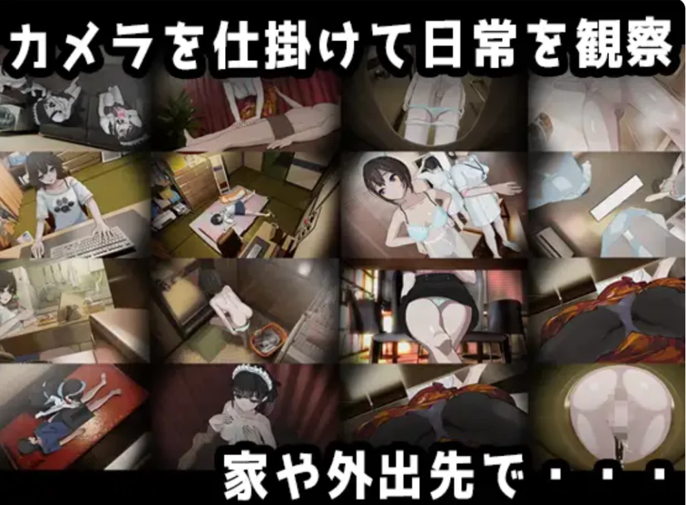 PC爆款【NTL盗摄动态偷窥胁迫凌辱SLG】家 HOME AI汉化+存档 [1+8.5g][百度盘]
