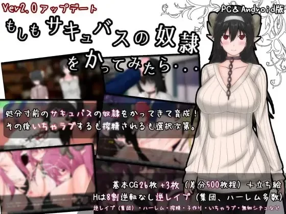 [PC][ADV/2D/汉化/日式]如果买了一个魅魔奴仆的话……もしも… [1+1.19G][百度盘]