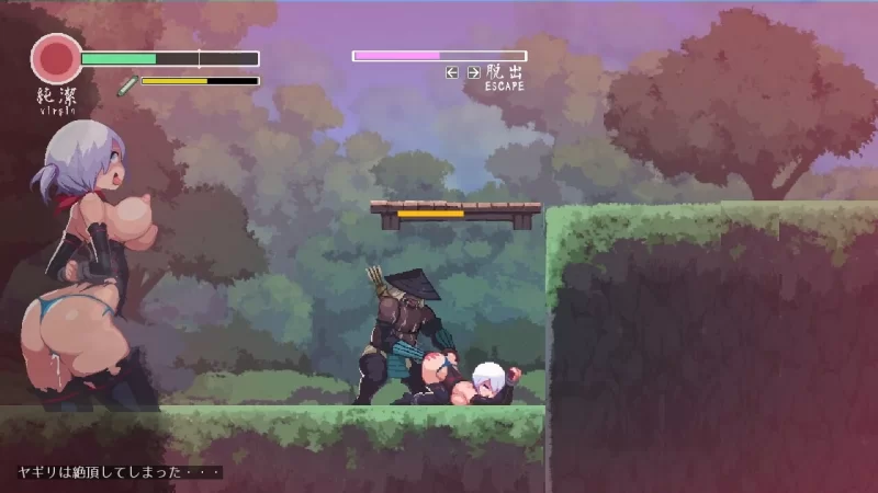 PC【日系ACT像素/官中/全动态】复仇的夜雾v1.0.2 官方中文版 [1+489m][百度盘]