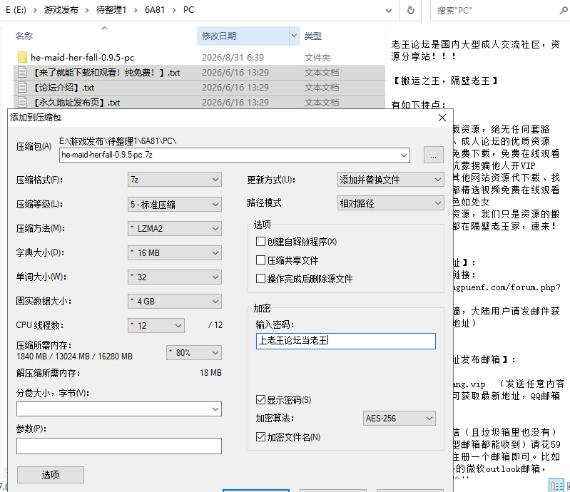 [ADV/官中/PC+安卓]妈妈为何这样 He Maid Her Fall v0.9.5 [2+7.77G][多种下载方式]